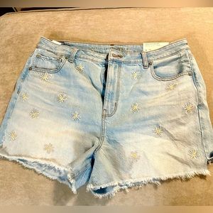 American Eagle Daisy Shorts